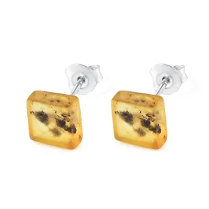 Green Baltic Amber Square Stud Earrings