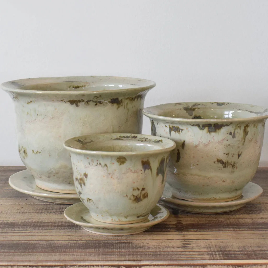 Large Cachet Pot Celery
